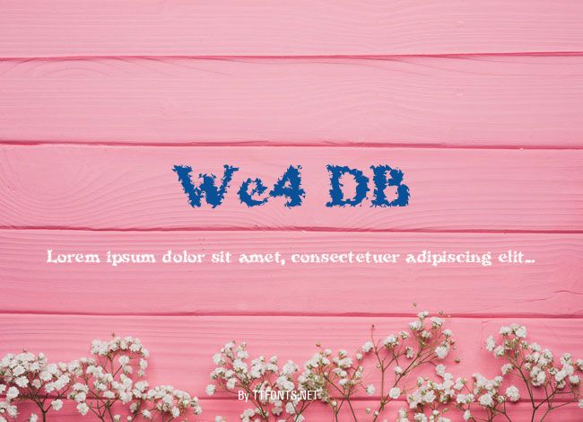We4 DB example